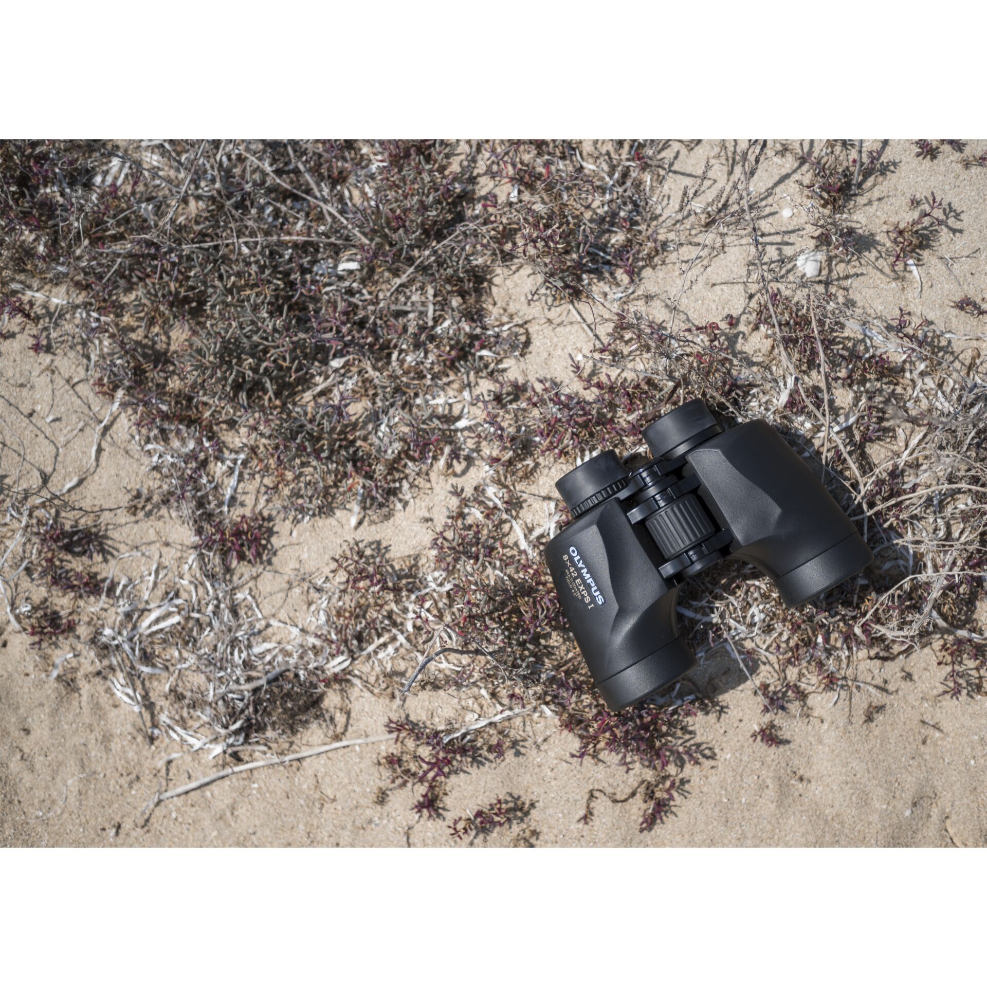 Olympus  8x42 EXPS I