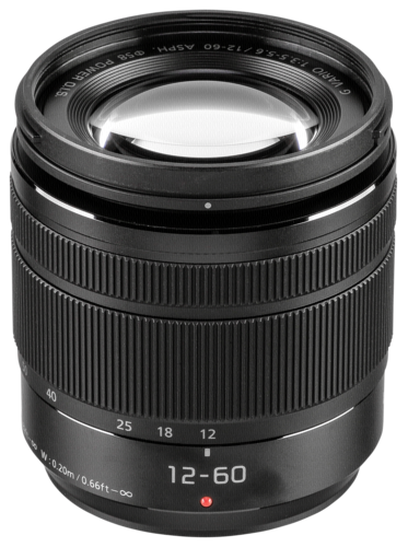 Panasonic Lumix G Vario