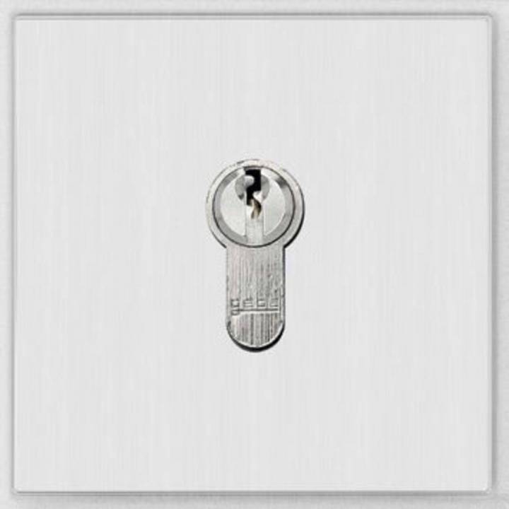 Behnke 20-2401 Modul Schlüsselschalter