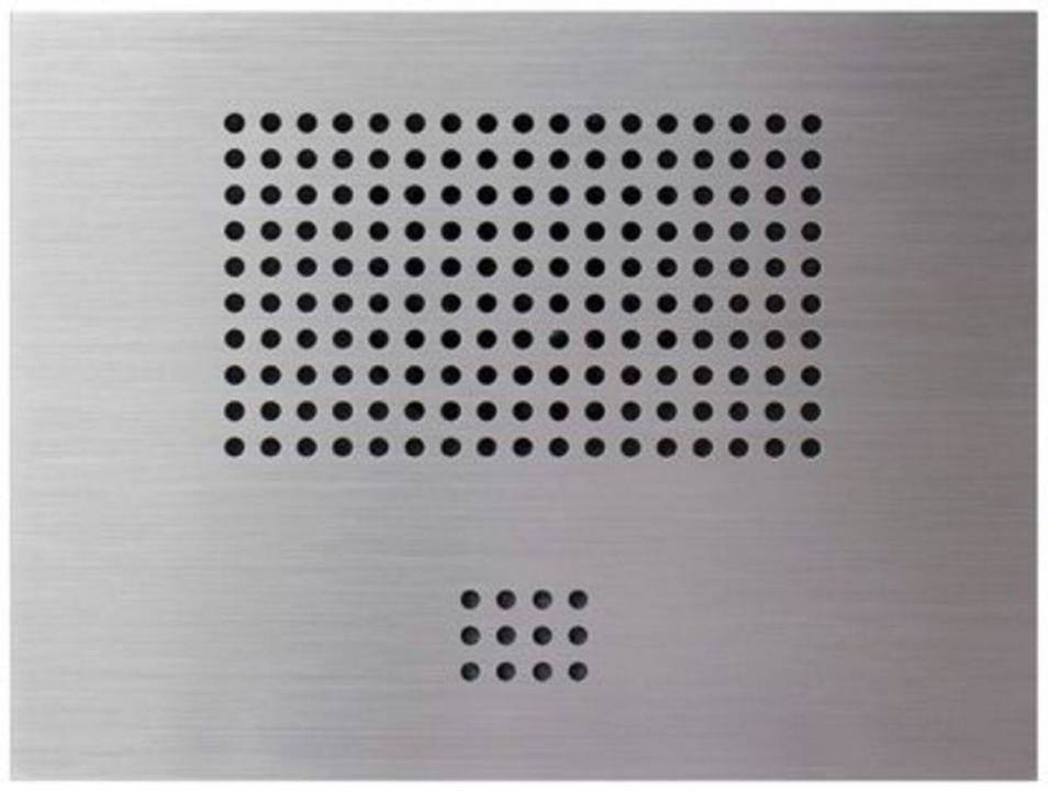 Behnke 50-1101-IP Funktionsmodul Lautsprecher Mikrofon IP