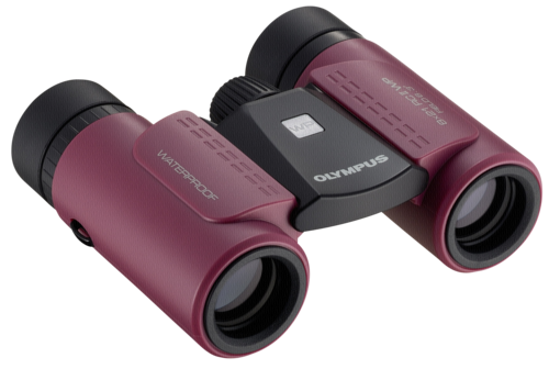 Olympus Slim  8x21 RC II WP