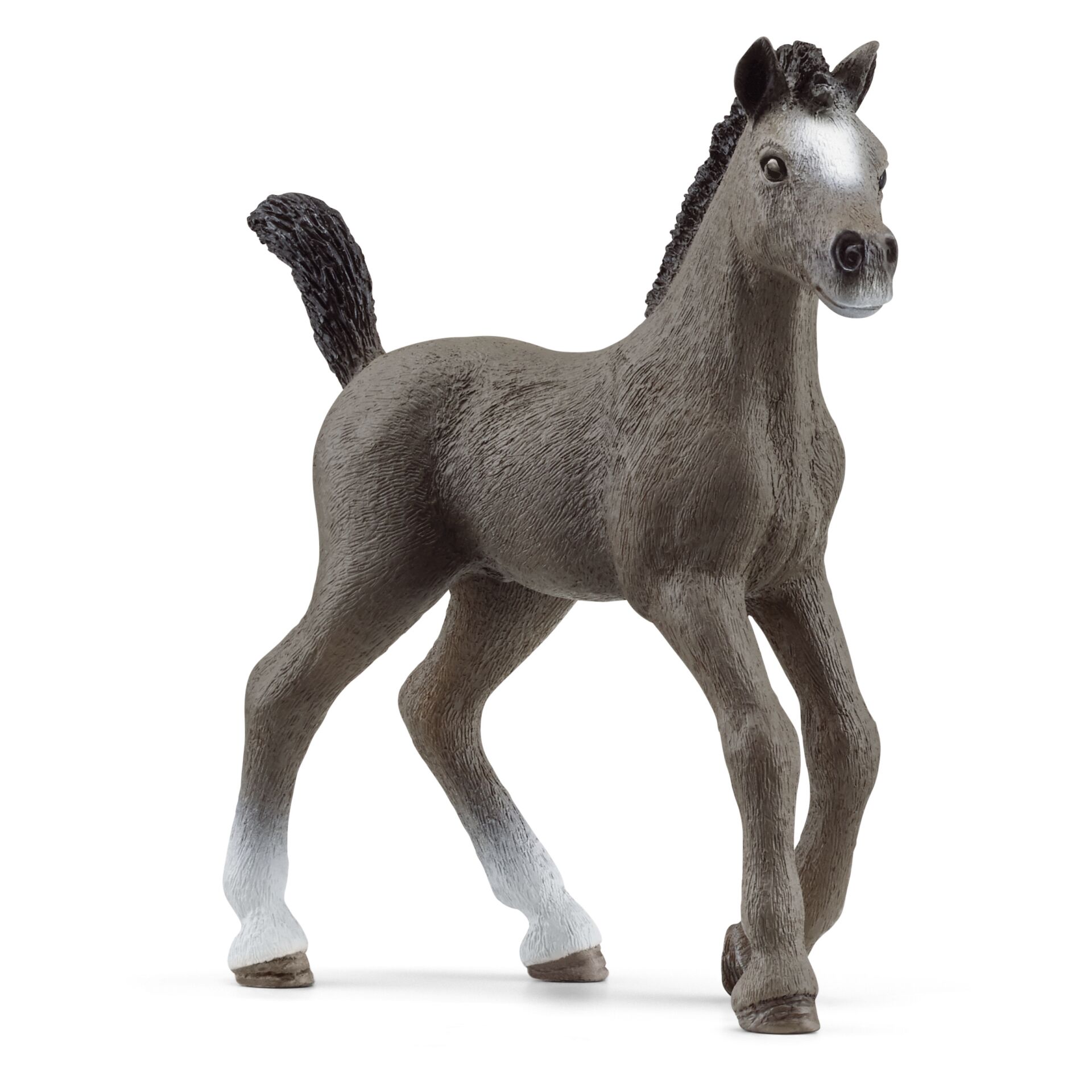 Schleich Horse Club        13957 Cheval de Selle Francais Fohlen